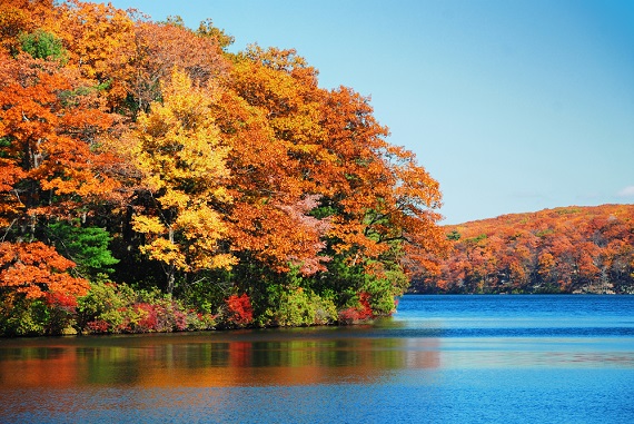 Fall foliage planner: find the best times and places to enjoy the season