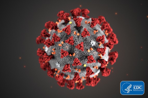 Coronavirus facts, myths, travel issues and more
